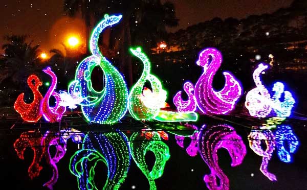 荷花灯会