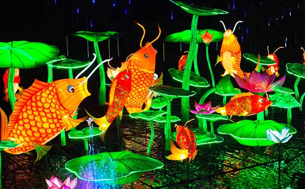 驰龙灯会
