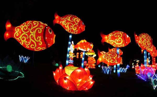 驰龙灯会
