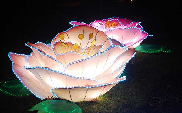 灯会