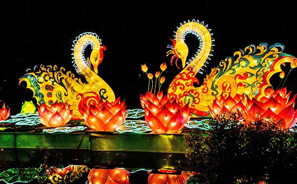 水上彩灯花灯