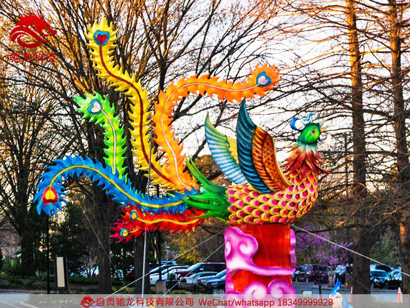 凤凰花灯Chinese Lantern