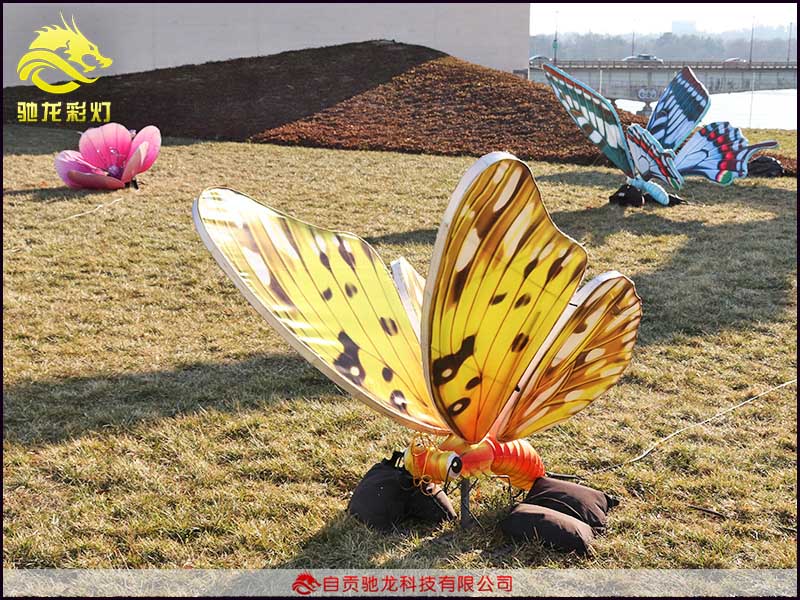 灯会展览草坪蝴蝶灯